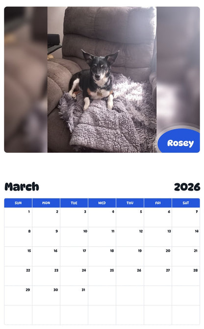 November 2025 - October 2026 Rosey - Pawidols Pet Calendar