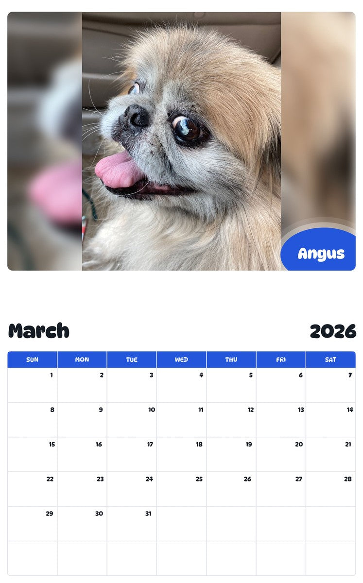 November 2025 - October 2026 Angus - Pawidols Pet Calendar