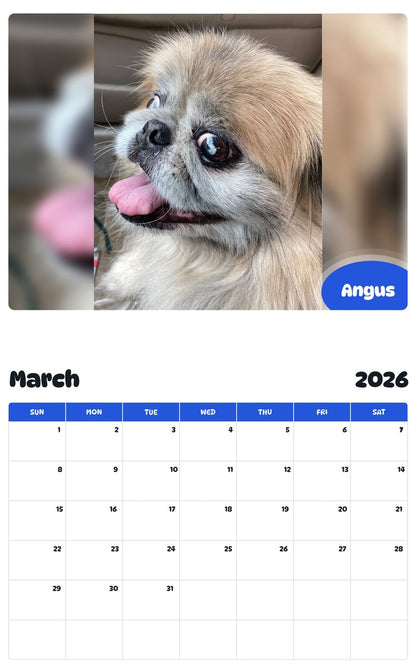 November 2025 - October 2026 Angus - Pawidols Pet Calendar