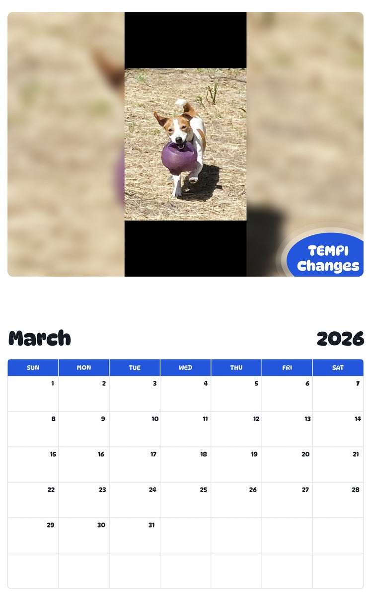 November 2025 - October 2026 TEMPI Changes - Pawidols Pet Calendar