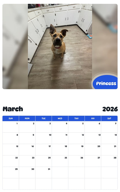 November 2025 - October 2026 Princess - Pawidols Pet Calendar