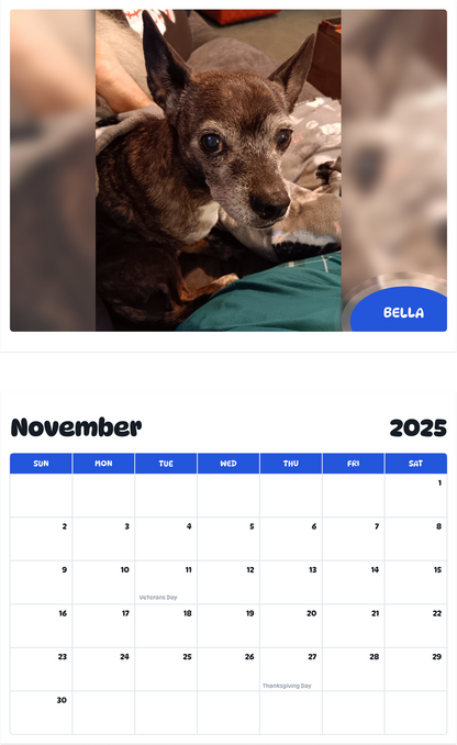 July 2025 - June 2026 Bella - Pawidols Pet Calendar
