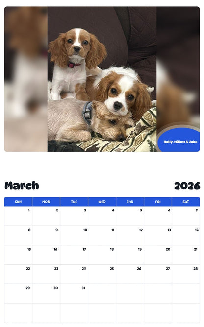 November 2025 - October 2026 Holly, Willow & Jake - Pawidols Pet Calendar