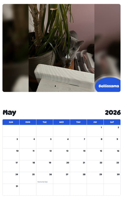 2026 - 2027 Bellissama - Pawidols Pet Calendar