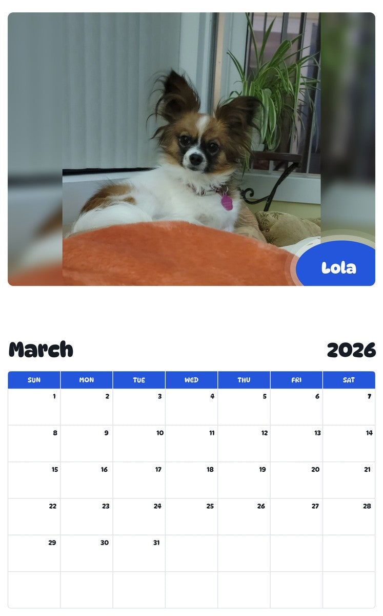 November 2025 - October 2026 Lola - Pawidols Pet Calendar