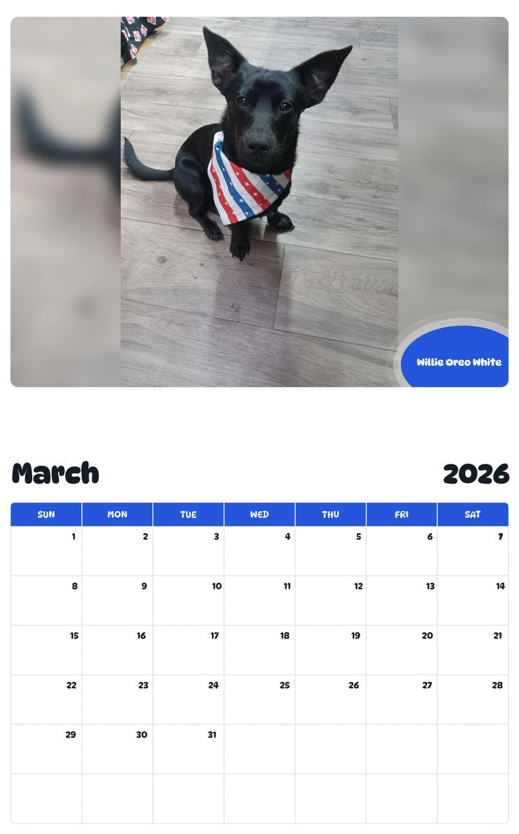 November 2025 - October 2026 Willie Oreo White - Pawidols Pet Calendar