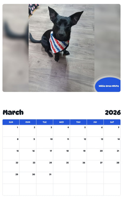 November 2025 - October 2026 Willie Oreo White - Pawidols Pet Calendar