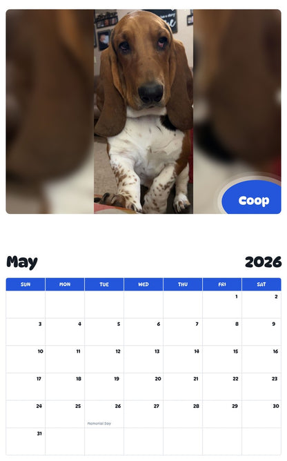 2026 - 2027 Coop - Pawidols Pet Calendar