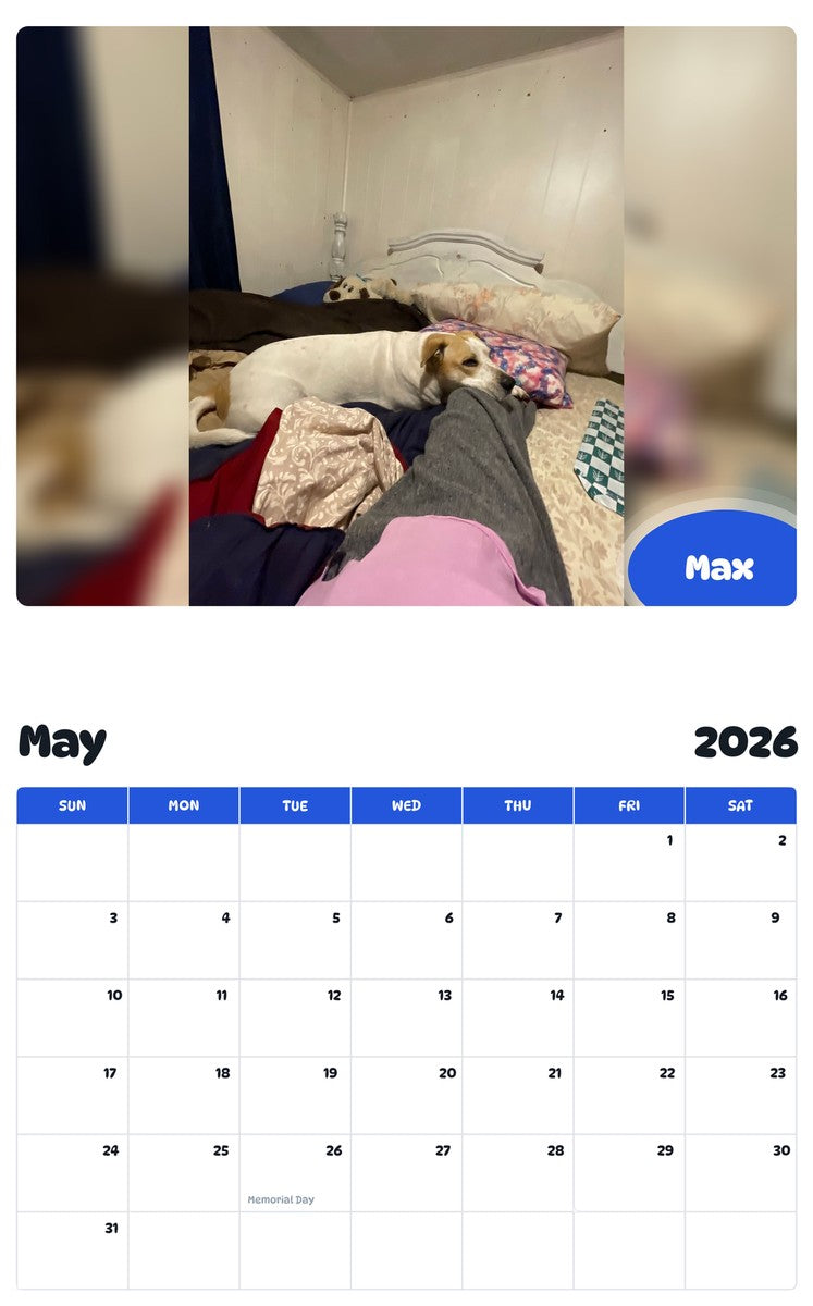 2026 - 2027 Max - Pawidols Pet Calendar