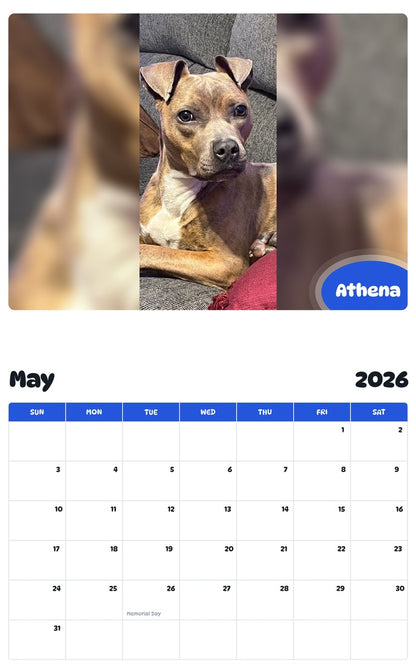 2026 - 2027 Athena - Pawidols Pet Calendar