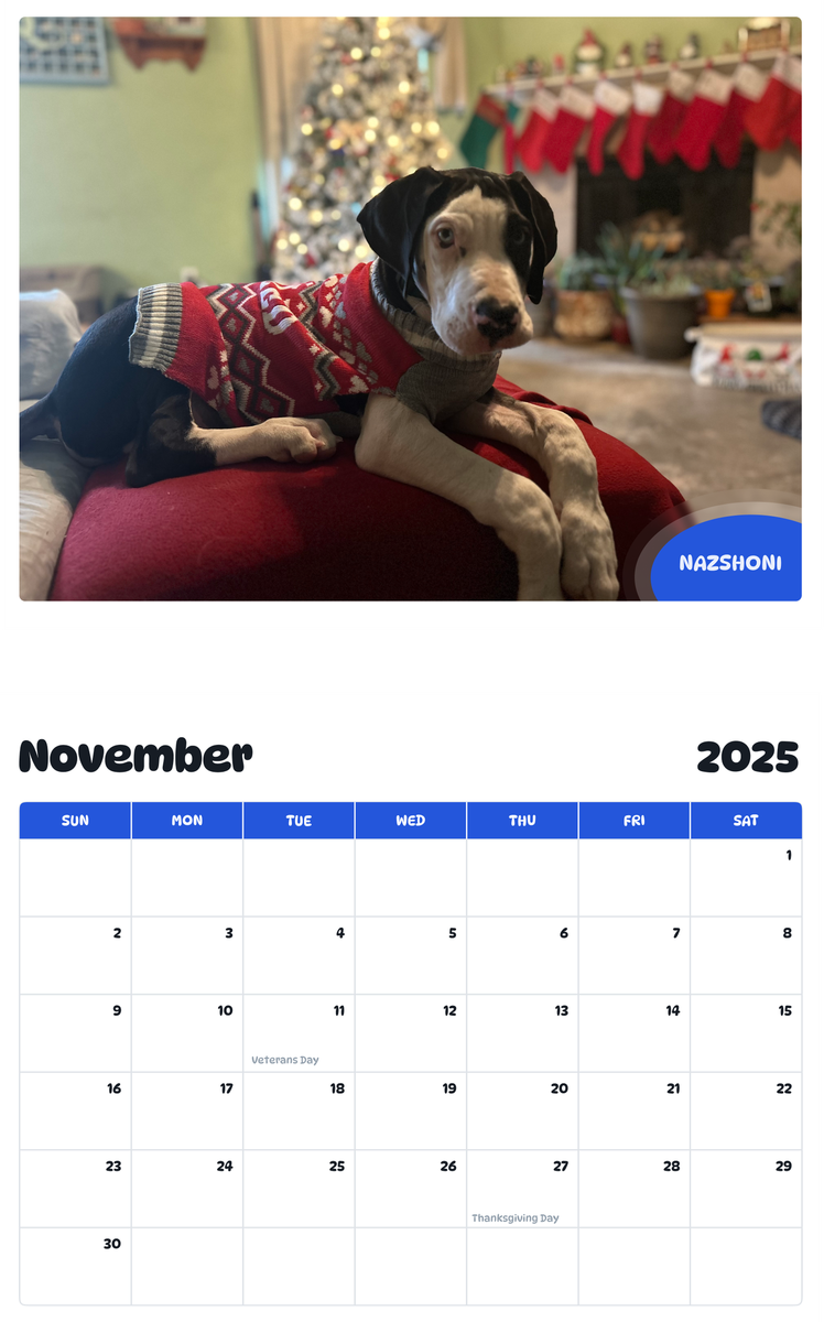 July 2025 - June 2026 Nazshoni - Pawidols Pet Calendar