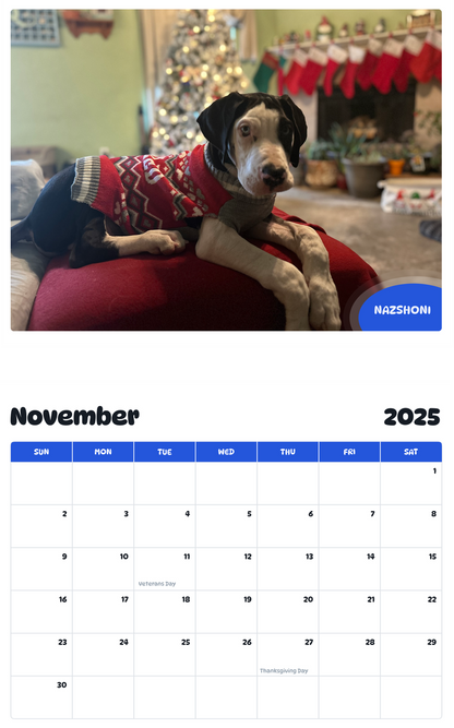July 2025 - June 2026 Nazshoni - Pawidols Pet Calendar