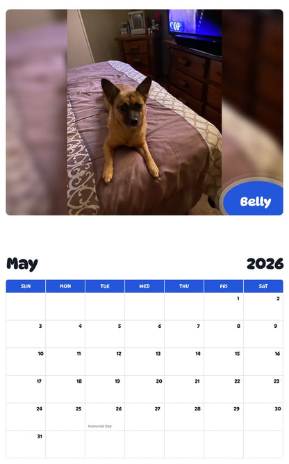 2026 - 2027 Belly - Pawidols Pet Calendar