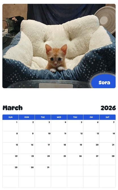 November 2025 - October 2026 Sora - Pawidols Pet Calendar