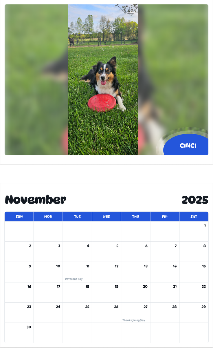 July 2025 - June 2026 Cinci - Pawidols Pet Calendar