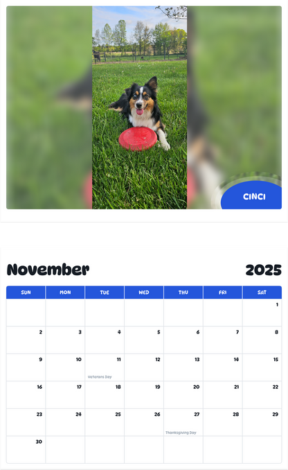 July 2025 - June 2026 Cinci - Pawidols Pet Calendar
