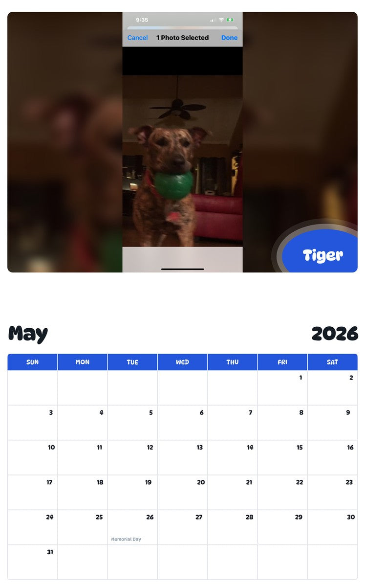 2026 - 2027 Tiger - Pawidols Pet Calendar