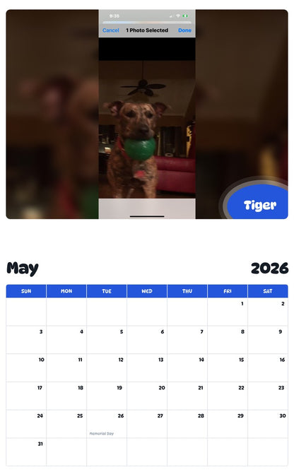 2026 - 2027 Tiger - Pawidols Pet Calendar