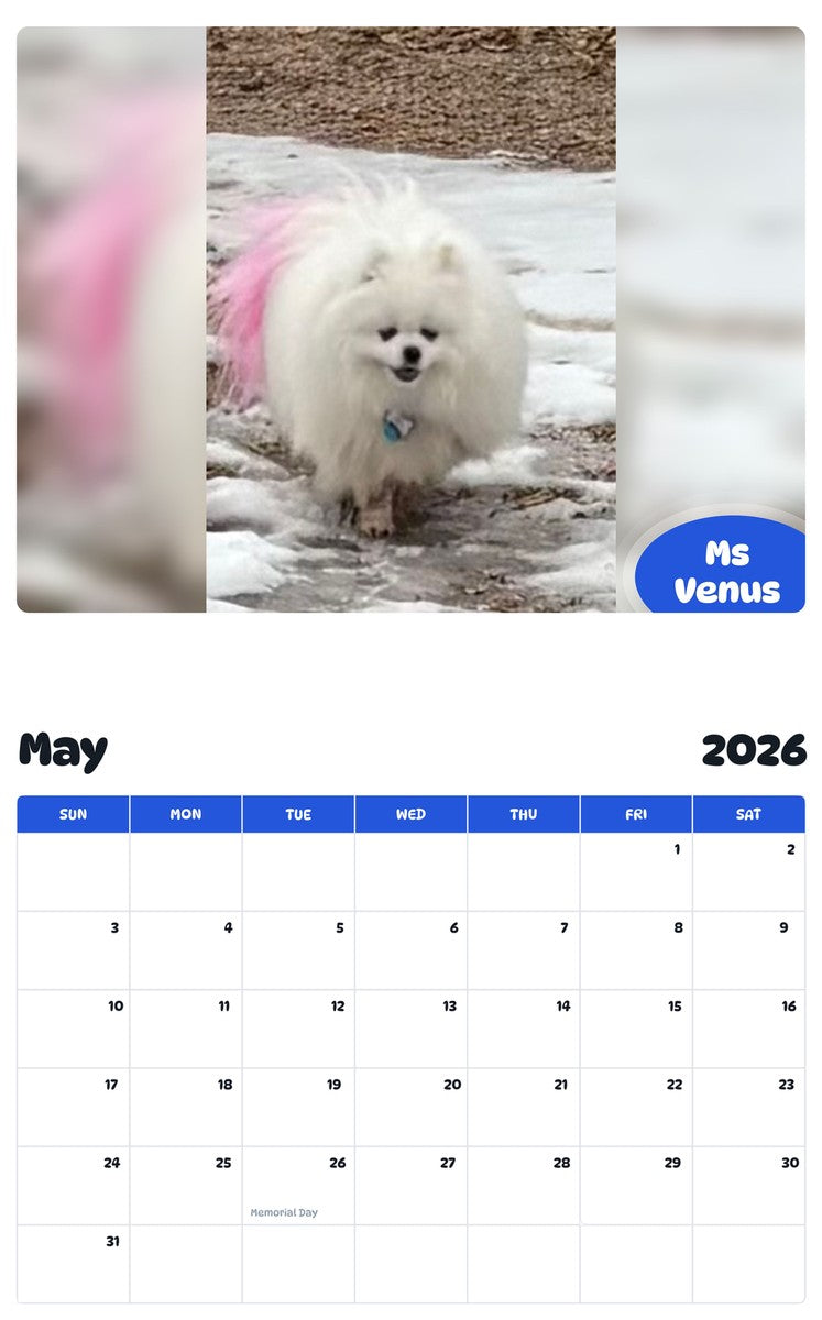 2026 - 2027 Ms Venus - Pawidols Pet Calendar
