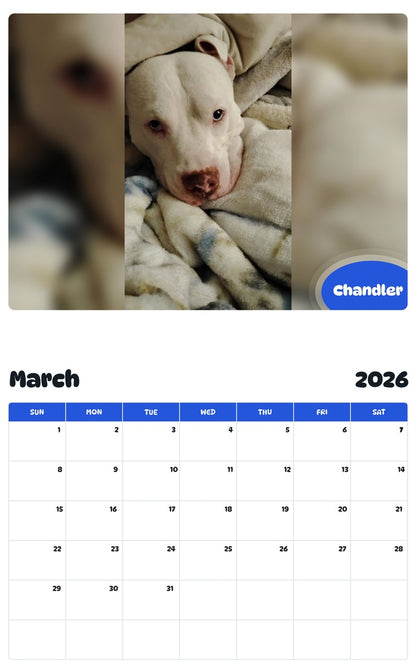 November 2025 - October 2026 Chandler - Pawidols Pet Calendar