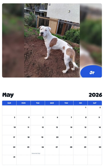 2026 - 2027 Jr - Pawidols Pet Calendar