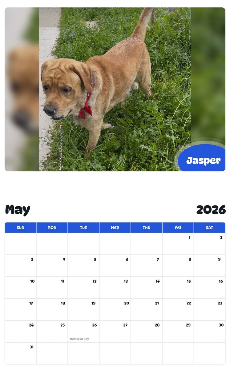 2026 - 2027 Jasper - Pawidols Pet Calendar