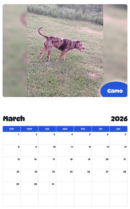 November 2025 - October 2026 Camo - Pawidols Pet Calendar