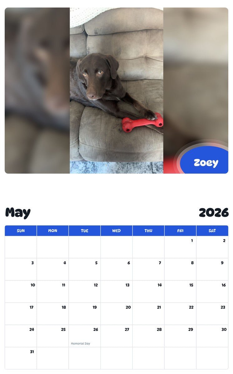 2026 - 2027 Zoey - Pawidols Pet Calendar