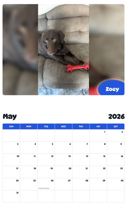 2026 - 2027 Zoey - Pawidols Pet Calendar