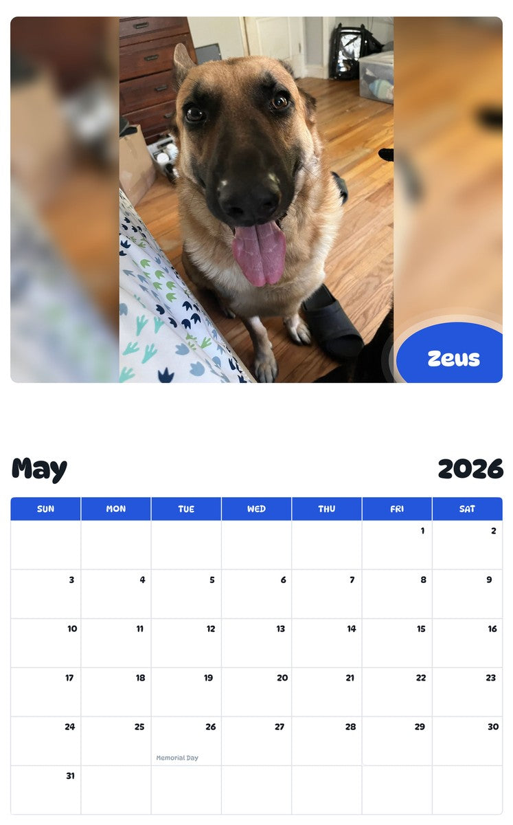 2026 - 2027 Zeus - Pawidols Pet Calendar