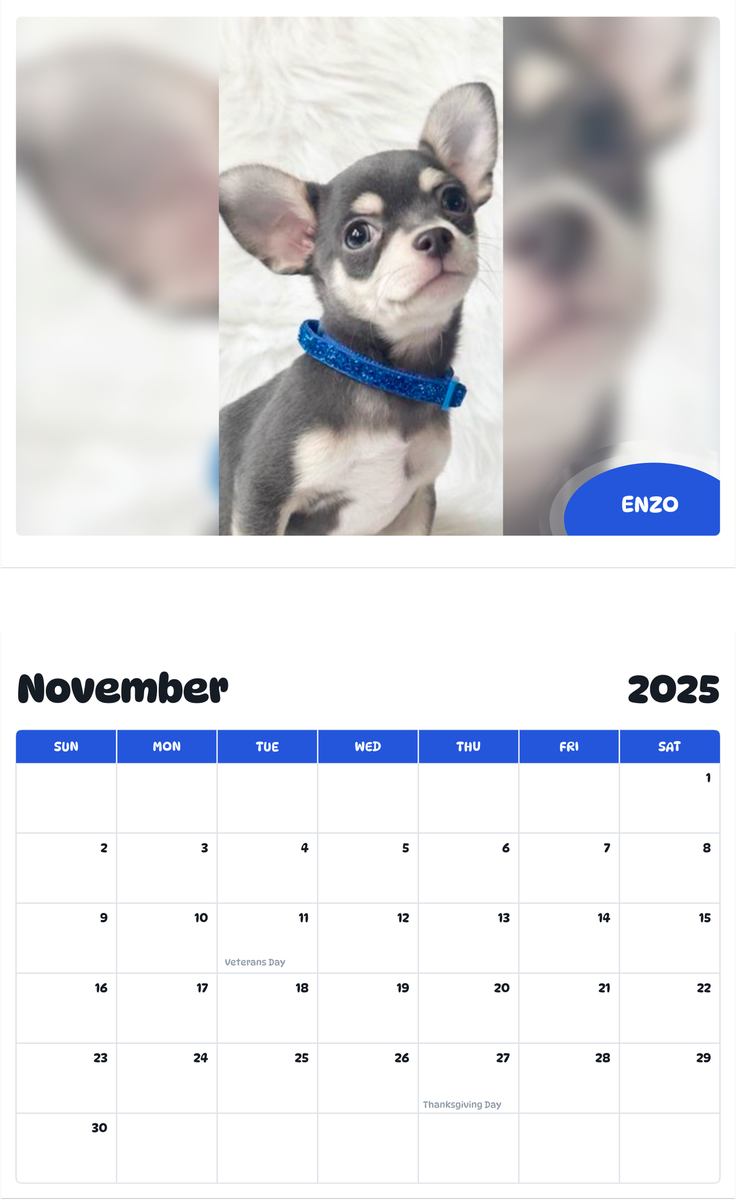 July 2025 - June 2026 Enzo - Pawidols Pet Calendar