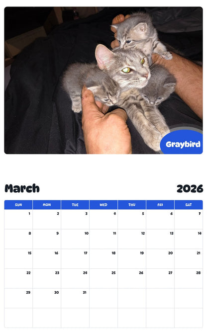 November 2025 - October 2026 Graybird - Pawidols Pet Calendar