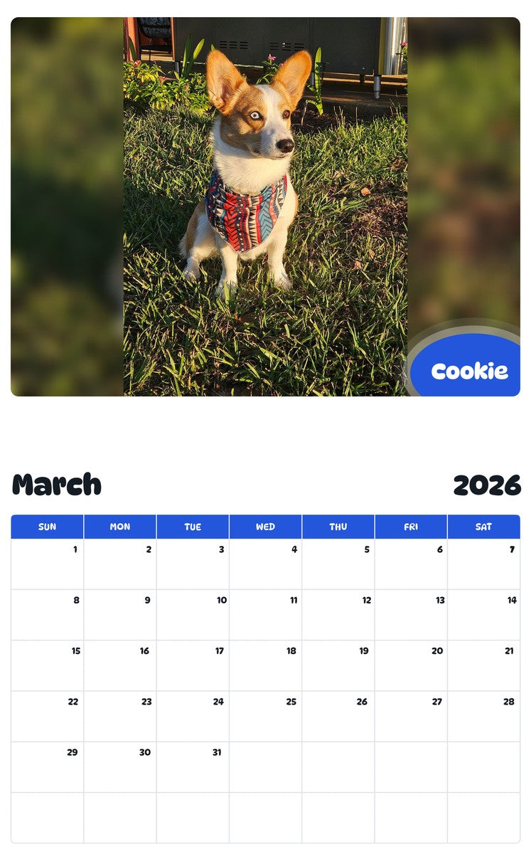 November 2025 - October 2026 Cookie - Pawidols Pet Calendar