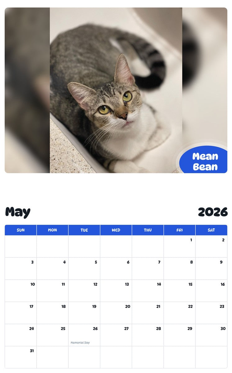2026 - 2027 Mean Bean - Pawidols Pet Calendar
