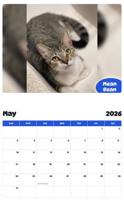 2026 - 2027 Mean Bean - Pawidols Pet Calendar