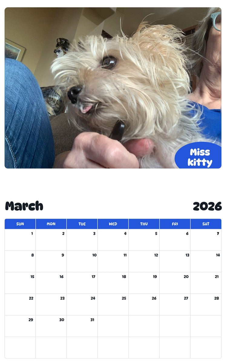 November 2025 - October 2026 Miss kitty - Pawidols Pet Calendar