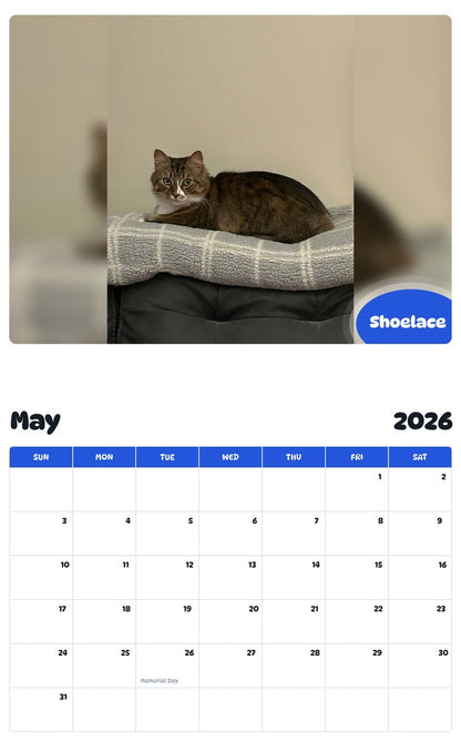 2026 - 2027 Shoelace - Pawidols Pet Calendar
