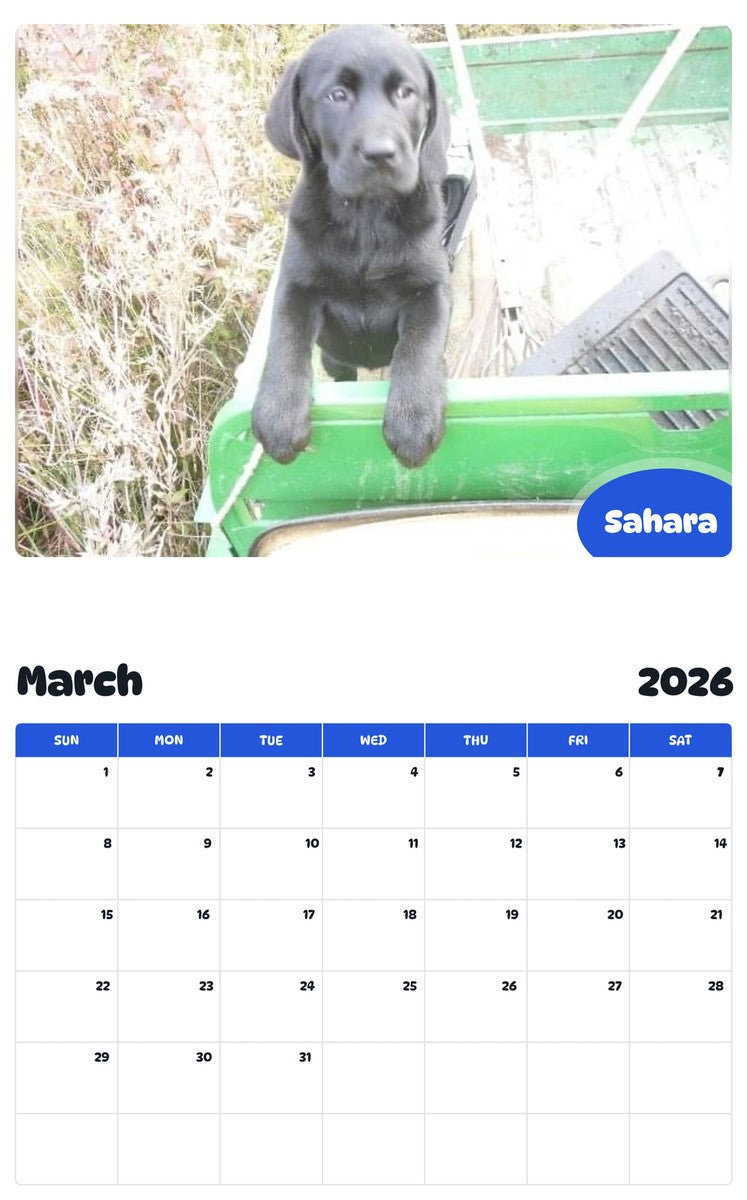 November 2025 - October 2026 Sahara - Pawidols Pet Calendar
