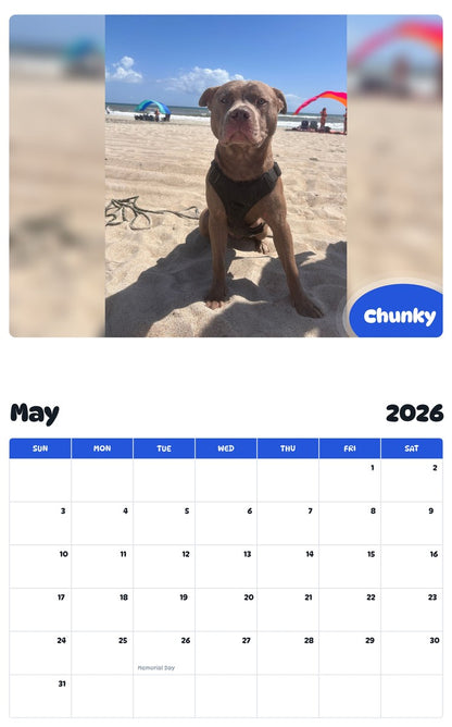 2026 - 2027 Chunky - Pawidols Pet Calendar