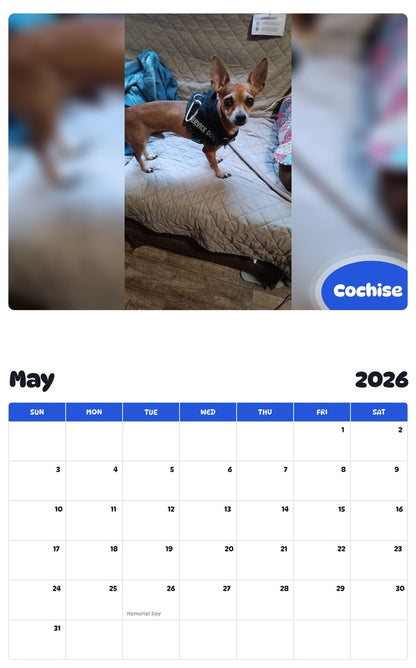 2026 - 2027 Cochise - Pawidols Pet Calendar