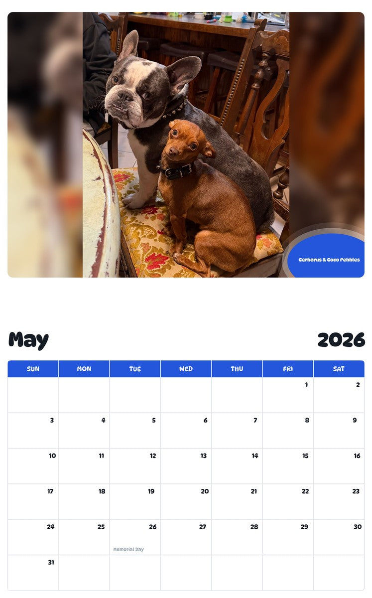 2026 - 2027 Cerberus & Coco Pebbles - Pawidols Pet Calendar