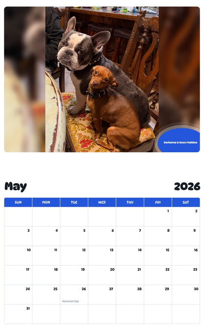 2026 - 2027 Cerberus & Coco Pebbles - Pawidols Pet Calendar