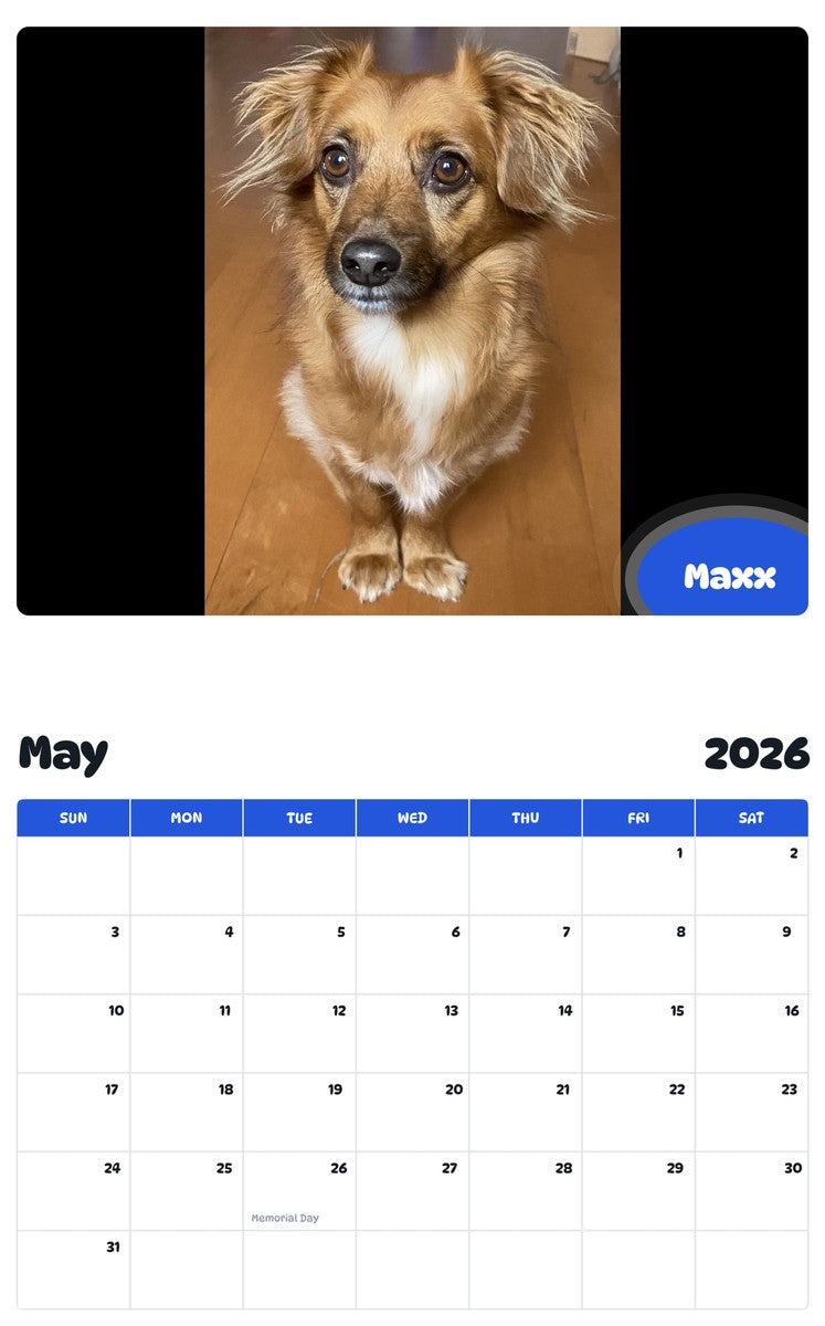 2026 - 2027 Maxx - Pawidols Pet Calendar