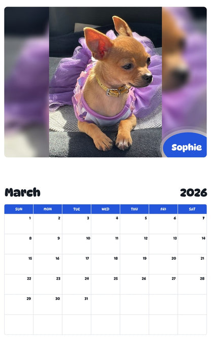 November 2025 - October 2026 Sophie - Pawidols Pet Calendar