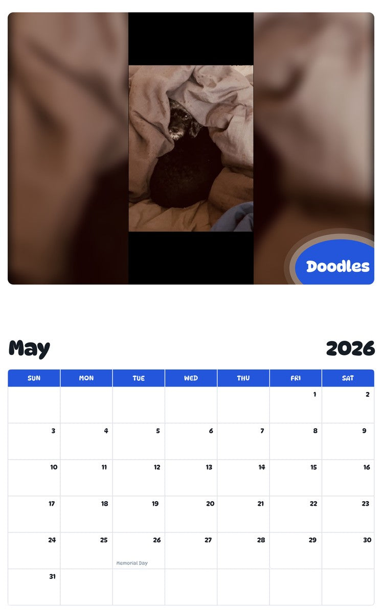 2026 - 2027 Doodles - Pawidols Pet Calendar