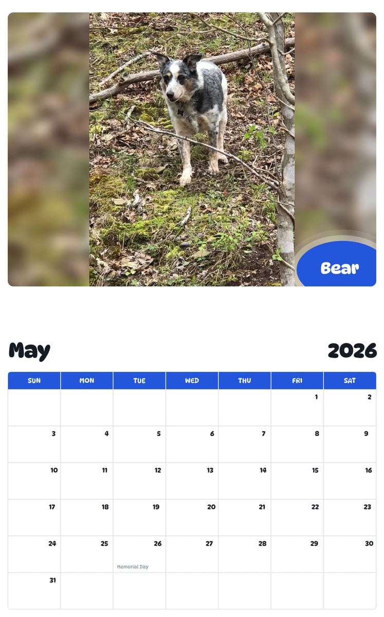 2026 - 2027 Bear - Pawidols Pet Calendar
