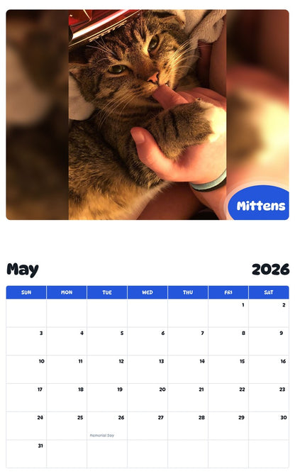2026 - 2027 Mittens - Pawidols Pet Calendar