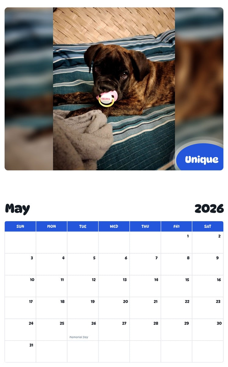 2026 - 2027 Unique - Pawidols Pet Calendar