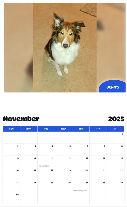 July 2025 - June 2026 Bean's - Pawidols Pet Calendar