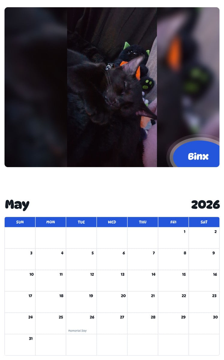 2026 - 2027 Binx - Pawidols Pet Calendar